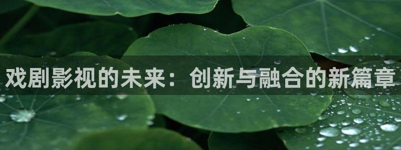 6080yy电影在线看日韩专区